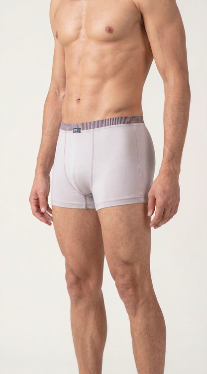 Мъжки боксер Everyday Light Grey